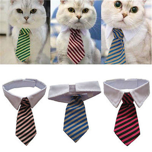 Dog Grooming Cat Striped Bow Tie Collar