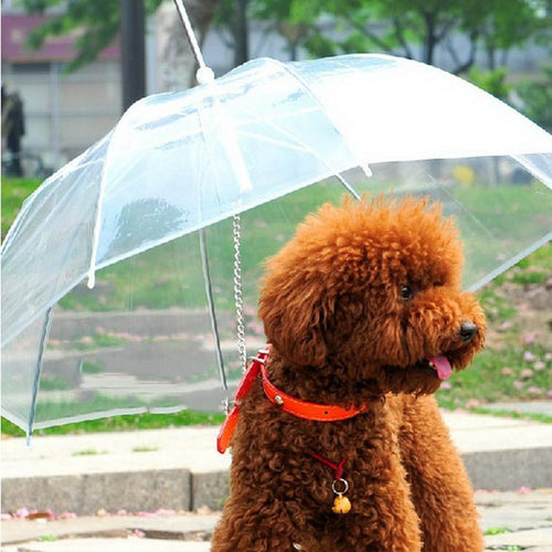 Transparent Pet Umbrella with Dog Leads