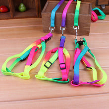 Load image into Gallery viewer, Pet Nylon Harness Collar Leash Lead