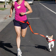 Load image into Gallery viewer, Jogging Puppy Dog Lead Collar