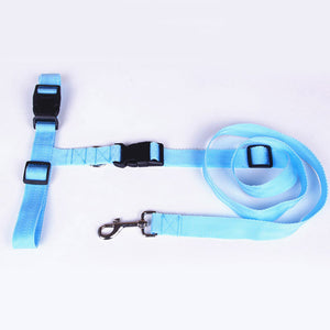 Jogging Puppy Dog Lead Collar