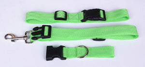 Jogging Puppy Dog Lead Collar