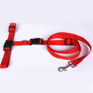 Jogging Puppy Dog Lead Collar