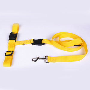 Jogging Puppy Dog Lead Collar