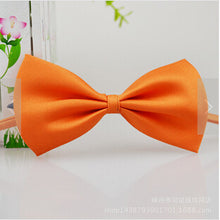 Load image into Gallery viewer, Fashion Cute Pet Bow Tie Necktie