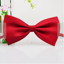 Load image into Gallery viewer, Fashion Cute Pet Bow Tie Necktie